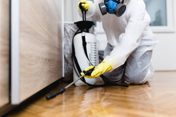 Best Pest Control Near Me in Williston, ND