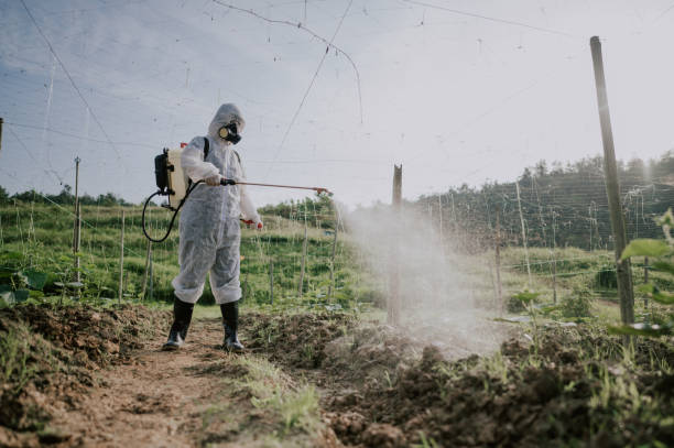 Best Ant Control Services  in Williston, ND