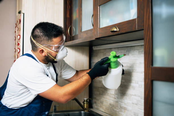  Williston, ND Pest Control Pros