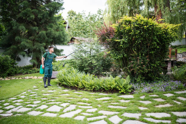 Best Pest Prevention Services  in Williston, ND