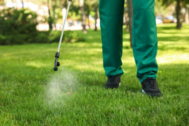Best Flea Control Services  in Williston, ND