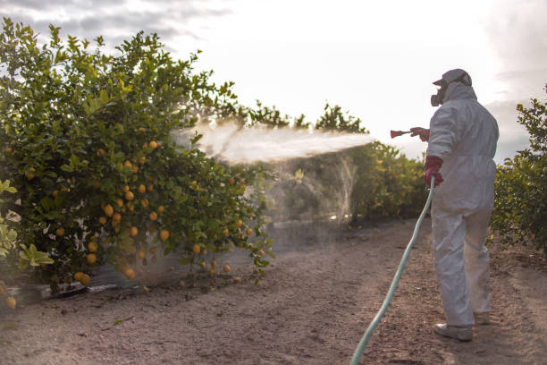Best Best Pest Control Near Me  in Williston, ND