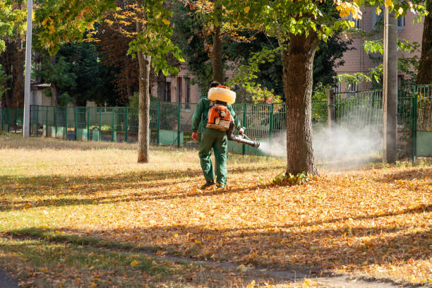 Best Wasp Removal Services  in Williston, ND