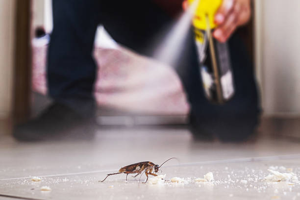 Best Best Pest Control Companies  in Williston, ND
