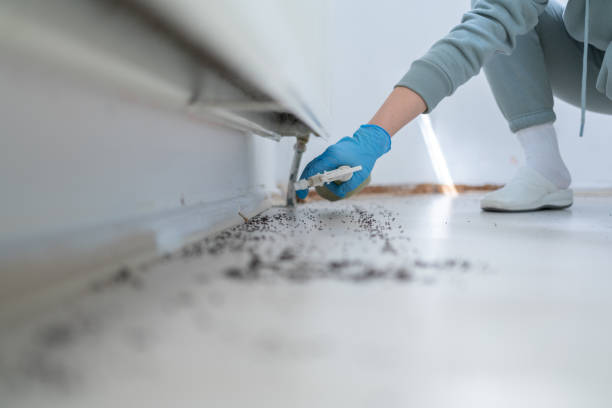 Professional Pest Control in Williston, ND