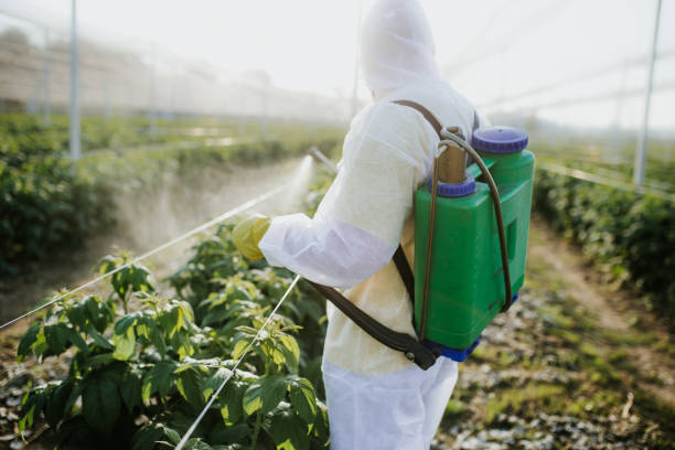 Best Pest Control for Restaurants  in Williston, ND